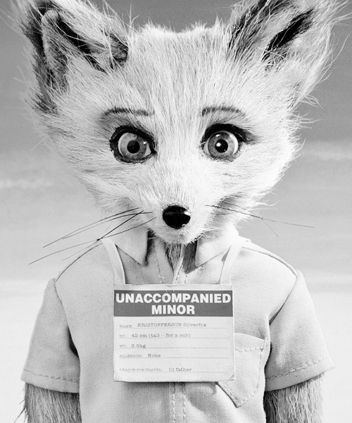 idiotsclub:  Kristofferson