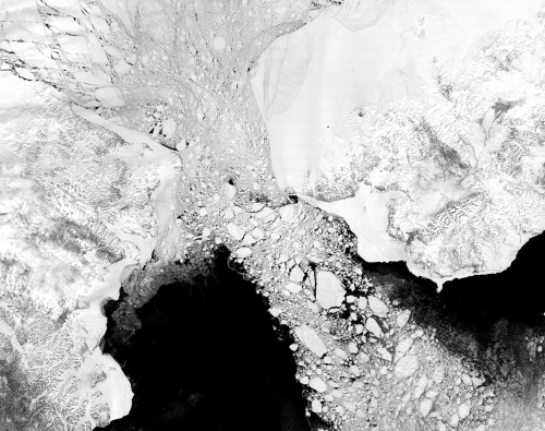 Springice chokes the Bering Strait (7thMay, 2000).  Ice is flowing southwards from the Bering S