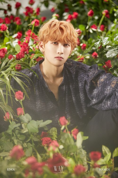 dojin teaser tumblr dojin teaser tumblr