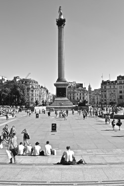 my-next-adventure:  Nelson’s Column, Trafalgar