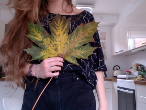 flowerinthefrozenrain:i found this beautiful massive leave!!!