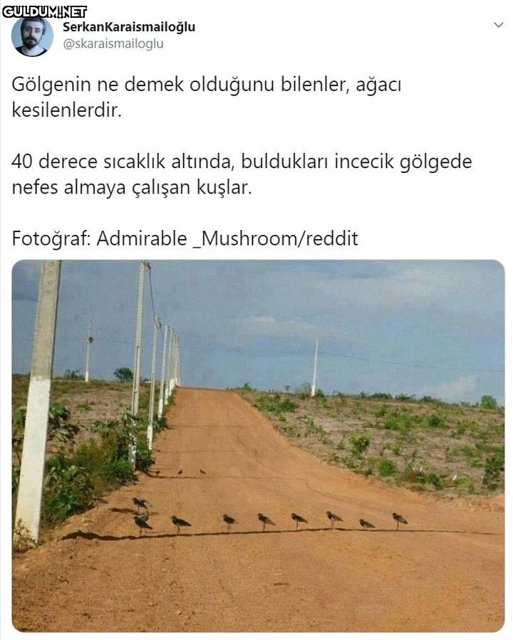 Serkankaraismailoğlu...