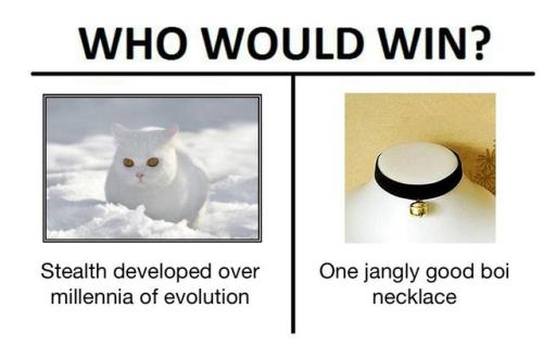 chibiroboofficial:  jillsteinfuneralcity: did u kno that if you put a bell collar on an outdoor cat they will learn to hunt around the bell’s sound and then when you take the bell off they will be 1000x better at hunting 