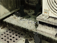 madmansknowledge:  Wolf's Rain OP: Stray