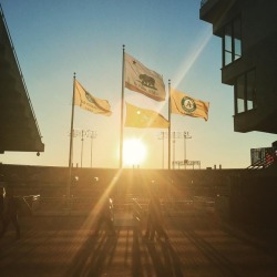 #oaklandathletics #oaklandalamedacountycoliseum #california #battleofthebay  (at Oracle Arena and Oakland Alameda County Coliseum)