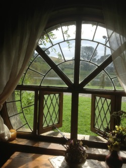 oh-wow-can-you-not:  View from the Green Dragon, Hobbiton, NZ. 