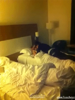 followingaonedirection: aw Zayn waking up Niall with his hair