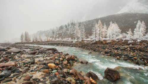 expressions-of-nature: Altai Mountains by Vladimir Lipetskih