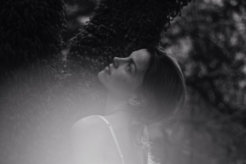 adiosdragster:  Cosima Niehaus + Scenerygasm