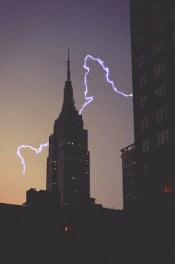 cityneonlights:  New York