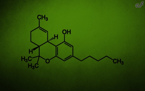 THC (marijuana) helps cure cancer says Harvard study Believe it or not, a Harvard study released on 