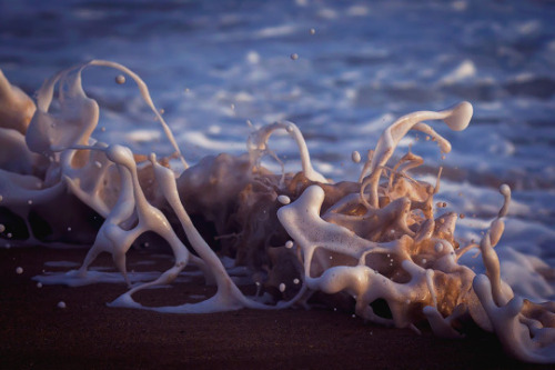 fuckyeahfluiddynamics: Photographer Lloyd Meudell captures surrealistic images of breaking sea foam.