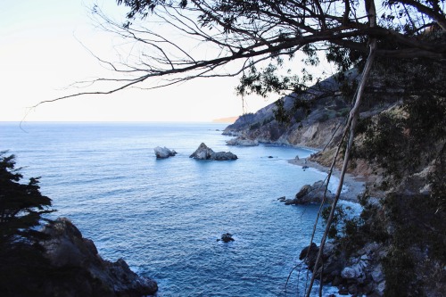 left coast