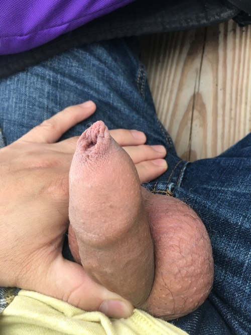 http://mrnopantsnoway.tumblr.com/post/154006259941