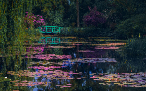 milamai - The Japanese bridge in Claude Monet’s Garden. Giverny,...