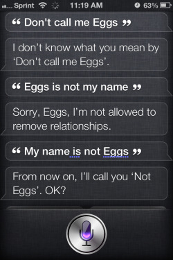 makechaos:  thesiliconeveil:   Siri is looking for a beating   was that a pun 