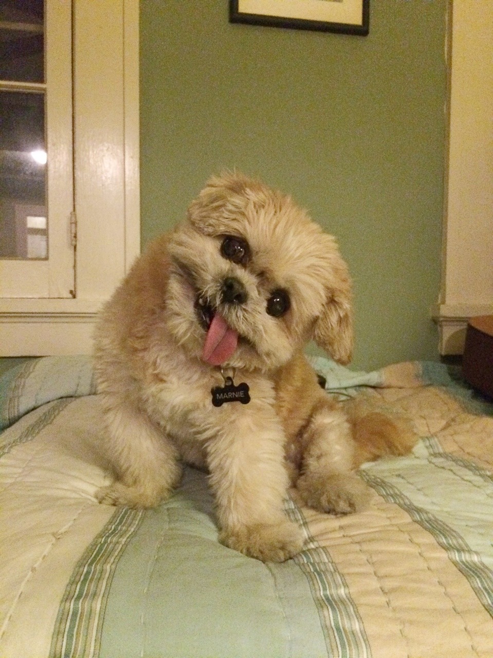 marniethedog:  Meet me at Paradise Motel 