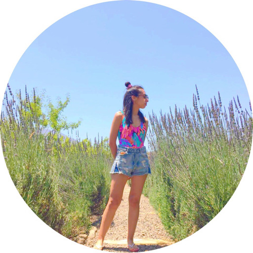 tumblr photo hola-soy-anacleto 1