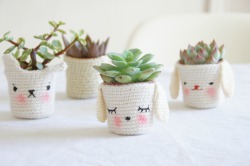 centifolias:  crocrochet:  Crochet plant