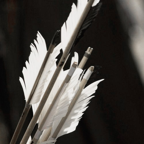 oylmpians:moodboard: mielikki↦ Mielikki is the Finnish goddess of forests and the hunt. In a country