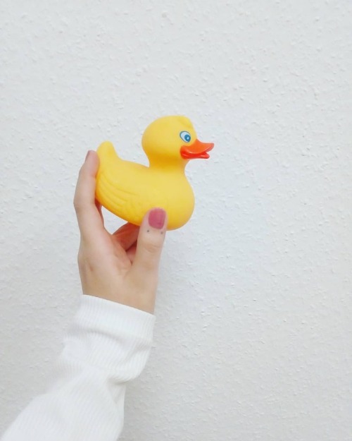 Two ducks. #rubberducky #toy #duck I found this at the #office for some reason. #weirdos I was havin