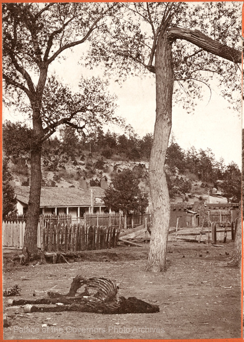 revoltedstates: pogphotoarchives:  Dead horse at Pigeon’s Ranch, Glorieta, New Mexico Photogra
