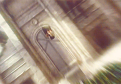 wolfilmmaker:  wolfpuppy:  Favorite scene from that movie  always the best