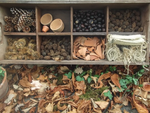 A cute little display in the Botanic Gardens, Dublin 