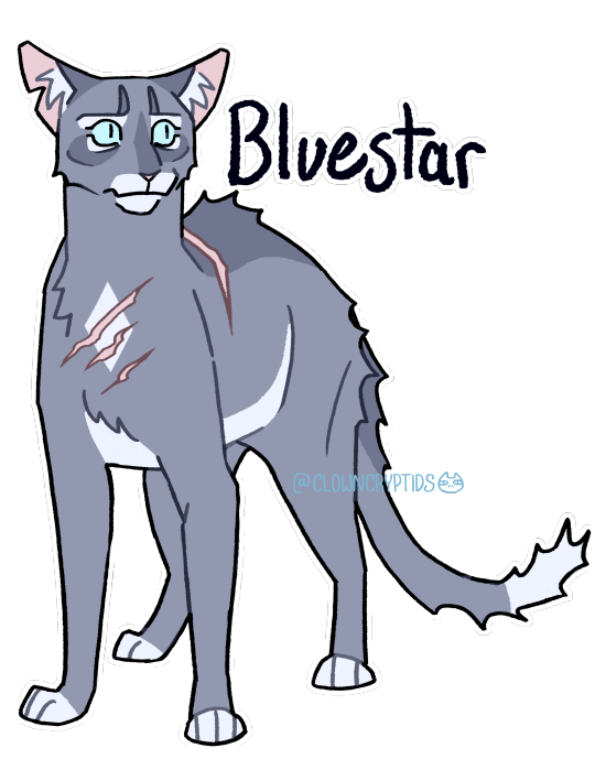 warriors cat stuff — cryptidclaw: Bluestar redesign! I made her