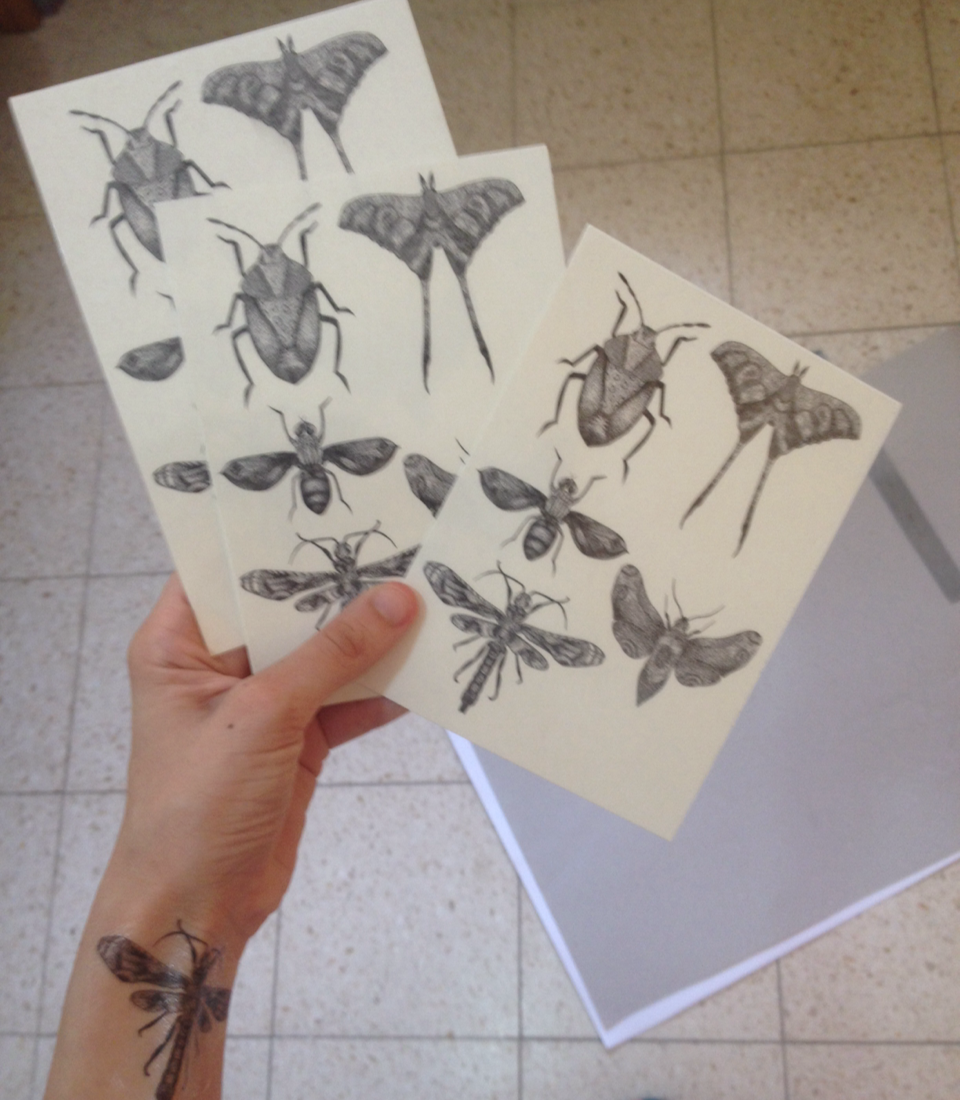 princessdinky:  pssst!! you can now buy these- five bug friends waitin just for you.