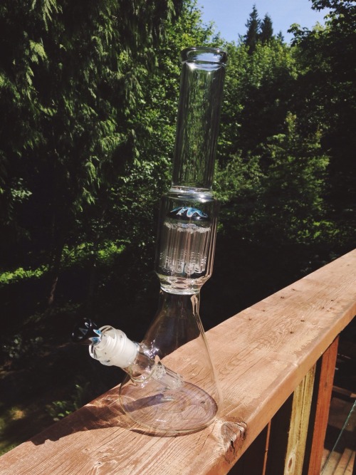 4cidinwonderland:  New piece (: