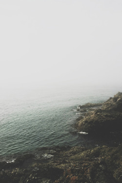 tearingdowndoors:  Fog used to be ominous. But now it's so incredibly beautiful. All I see is peace, and a reminder of the sweetest dream that God ever gave me. I find joy in the fog.  KatrinaDphotography 
