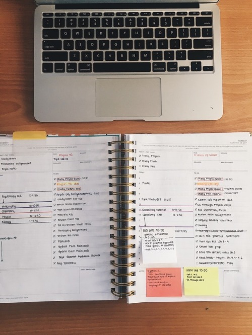 hannahreveur: Planning helps to clear my head and makes the mess I make during studying a bit more b