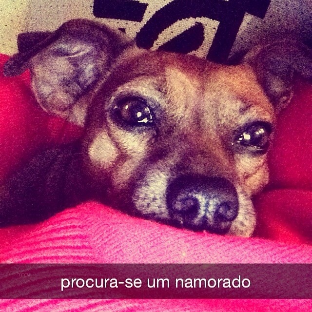 Glamour