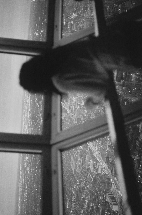 MELODRAMA