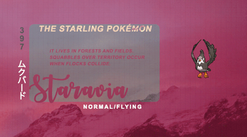 darkespeon:Starly, Staravia, Staraptor