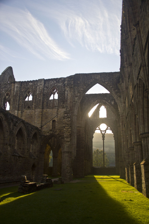 abandonedography: Tintern Abbey, Tintern Wales, Sunrise, Chris Hanson