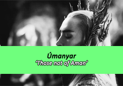 dalpuri:  J.R.R. Tolkien describes the sundering of the Elves in the Third Age. 