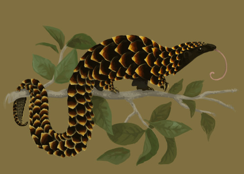 thebrainscoop:chelsealinaeve:huevember 3 - long-tailed pangolin (so long!!)twitter • facebook • inst