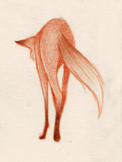 1000drawings:  fox by LouisDelacroix 