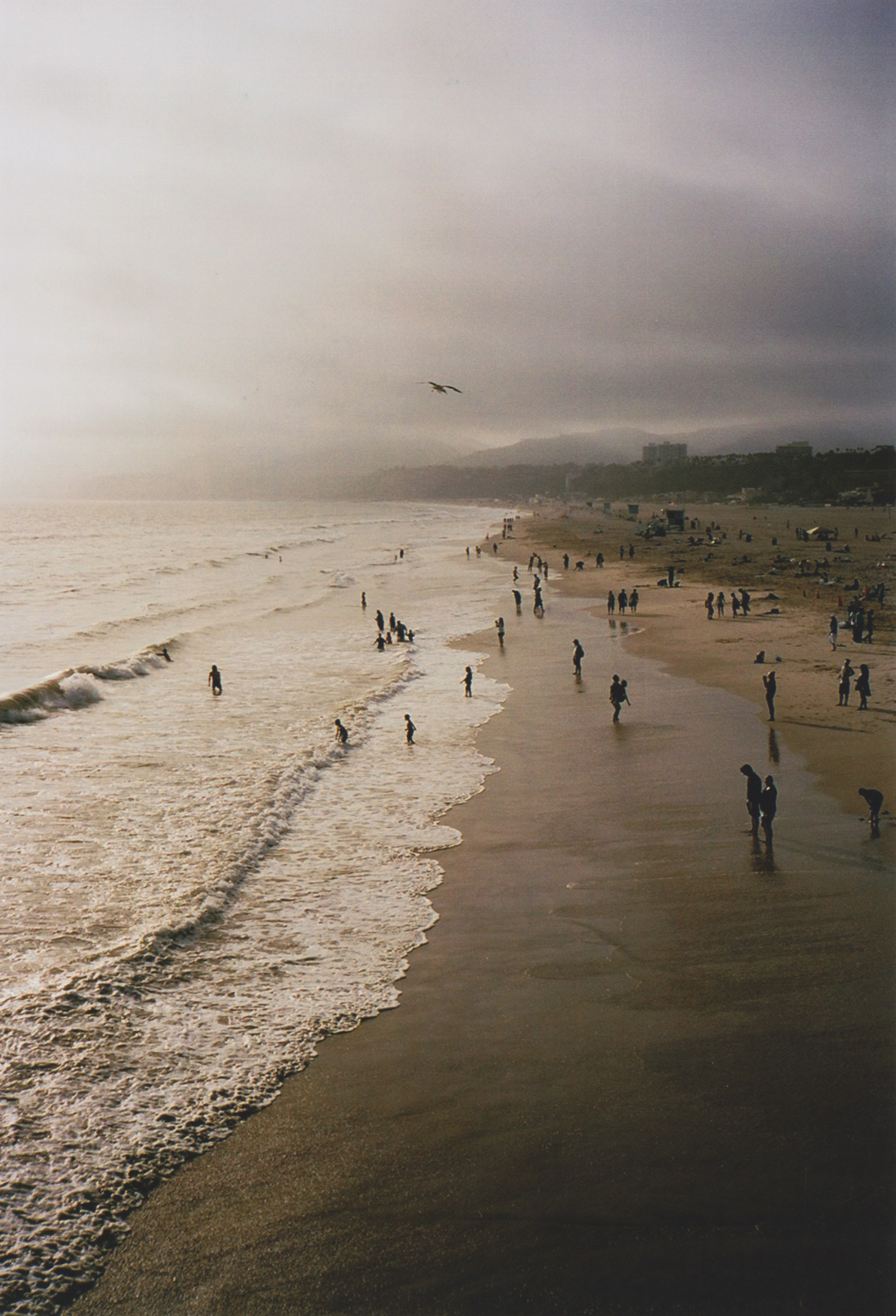 metrodorus:  denniszorn 