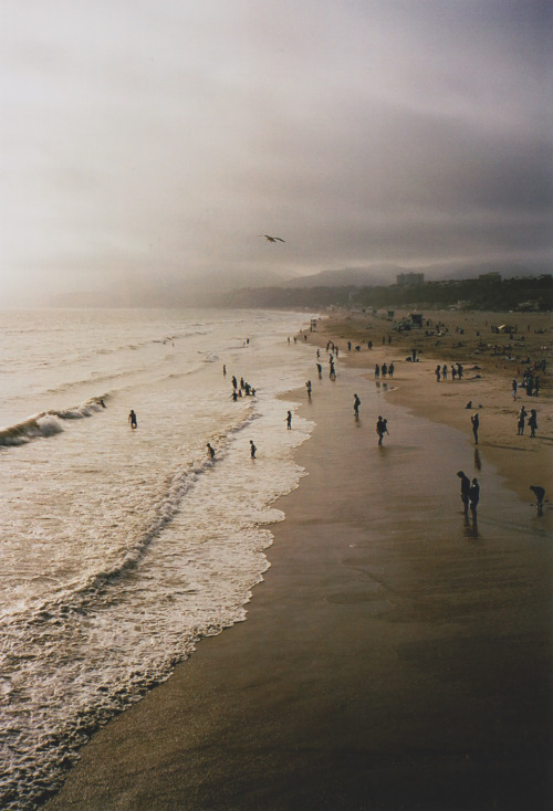 metrodorus:  denniszorn 