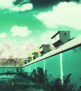 Not Zenin, huh?