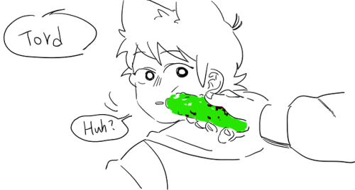 greenpurpleredblue:  cats will be scared by cucumbers, but Tord isn’t a cat.