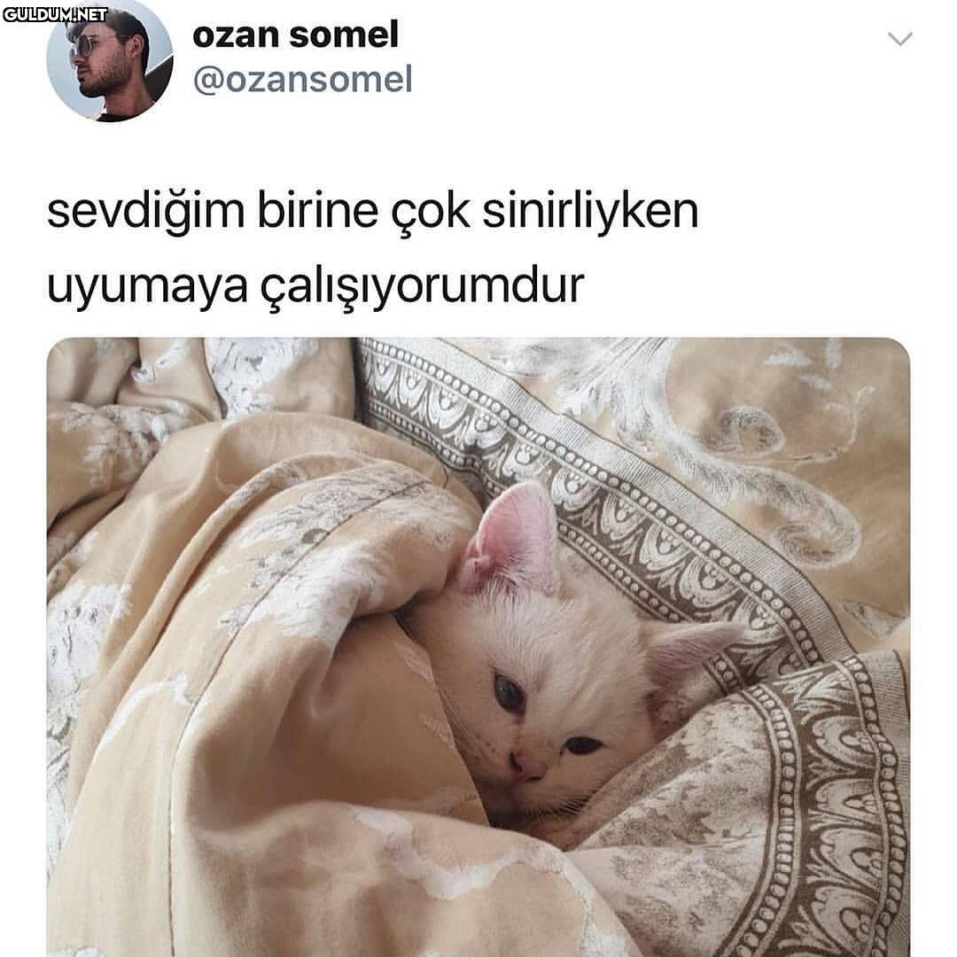 düşünme onu düşünme onu...