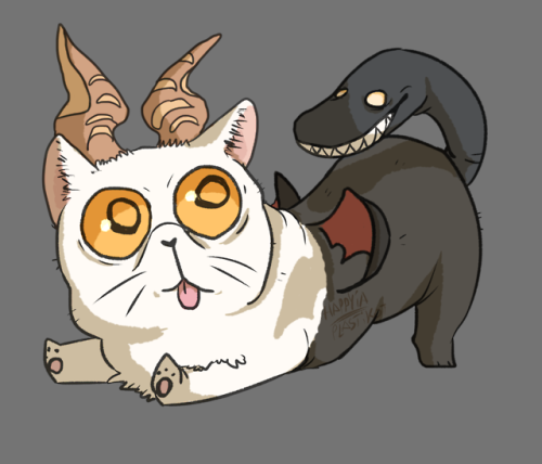 I made a chimera.It’s an exotic short-hair chimera with a snake-like tail appendage that has m