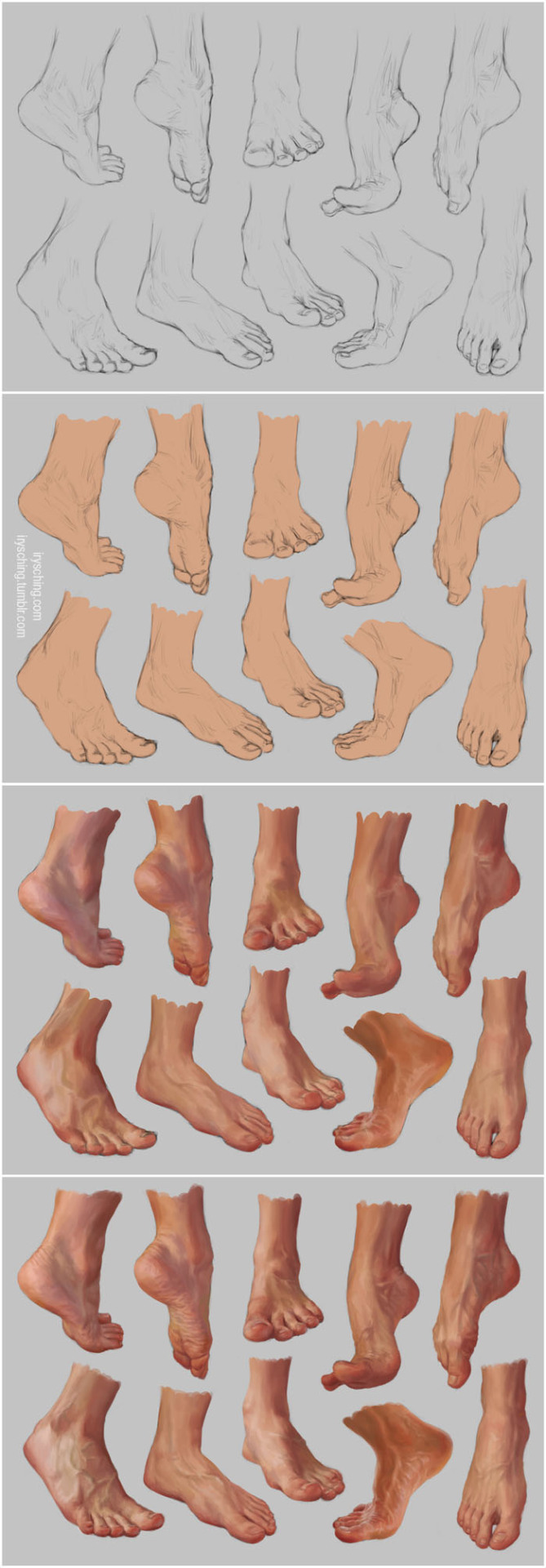 fucktonofanatomyreferences:  fucktonofanatomyreferences:  An orgasmic fuck-ton of