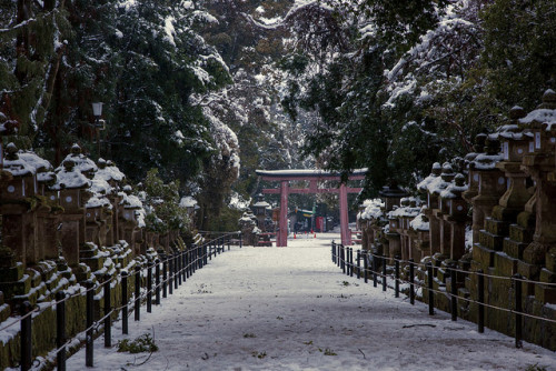 japan-overload: 雪の春日大社 by igu3 on Flickr.