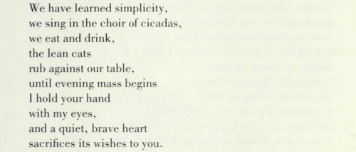 a-quiet-life:— Ingeborg Bachmann, excerpt from “Songs from an Island,” In the Storm of Roses: Select