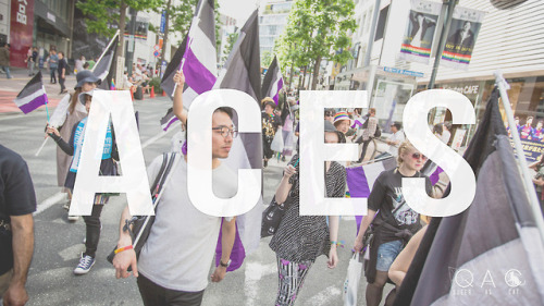 queerascat:  “ACES BELONG AT PRIDE” a PSA for the naysayers and encouragement for those who need it. mostly the latter rather than the former, but for those who needed the PSA: you’re welcome. ※ photos taken   May 2018 at Tokyo Rainbow Pride.